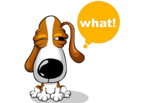 常熟網站建設首頁放哪些內容 常熟網站建設首頁放哪些內容