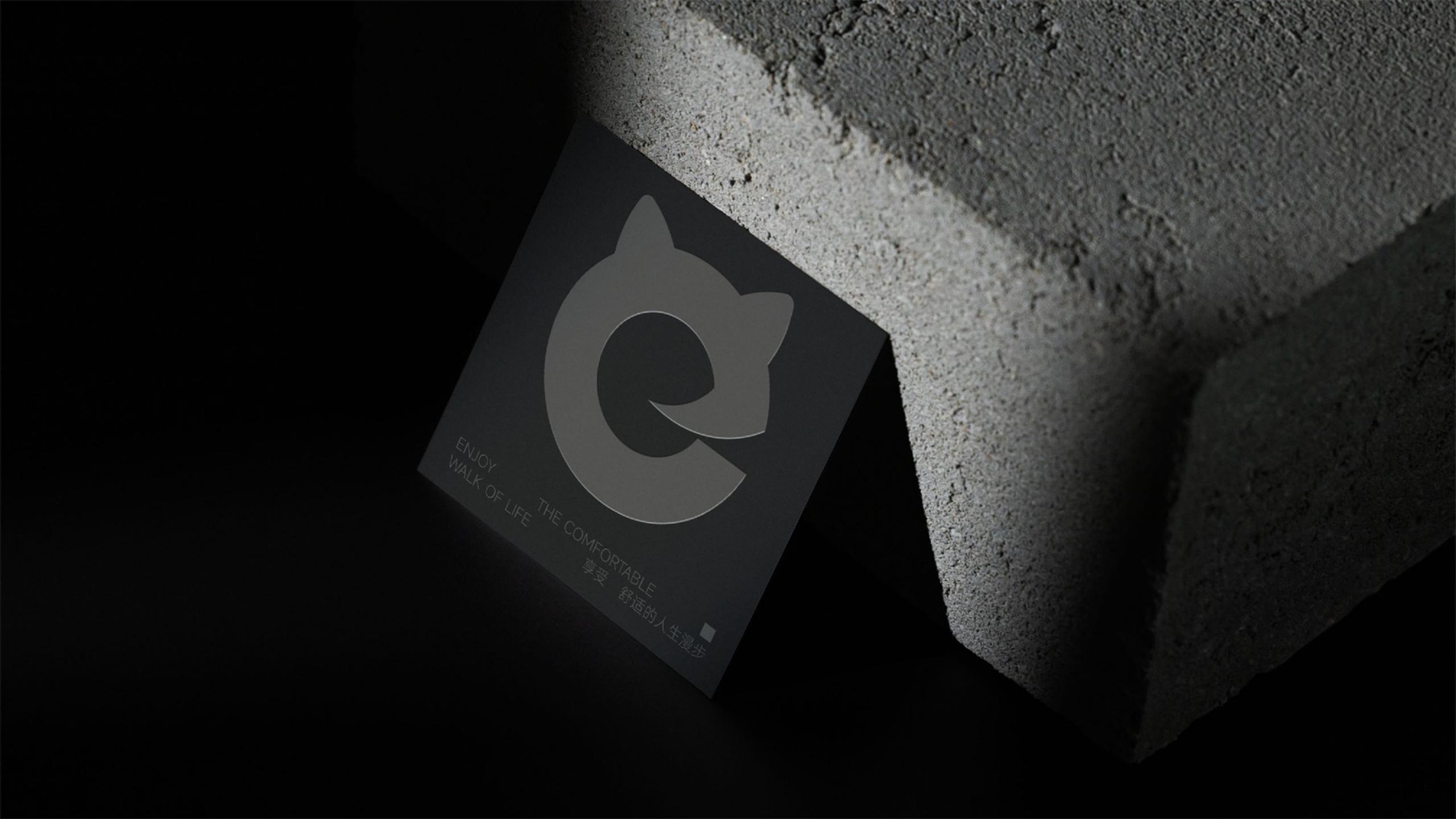 鞋帽品牌全案策劃-時尚單品品牌vi設(shè)計