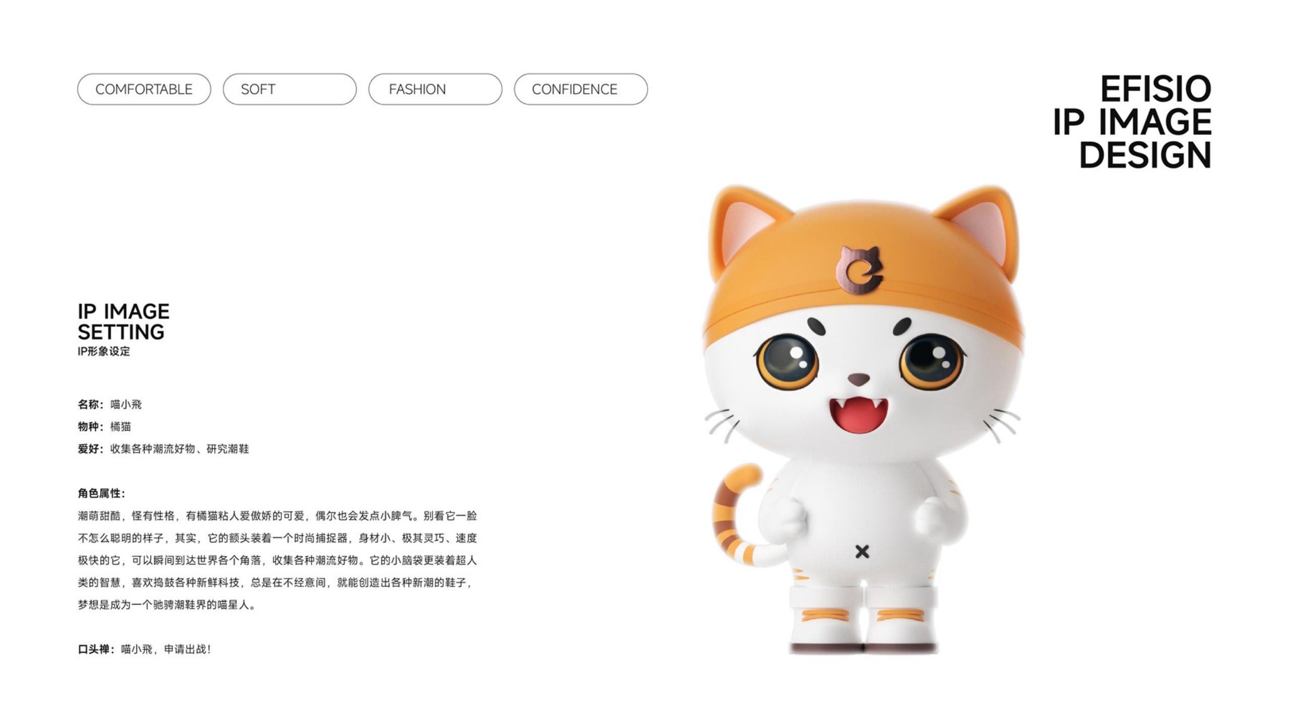 鞋帽品牌全案策劃-時尚單品品牌vi設(shè)計