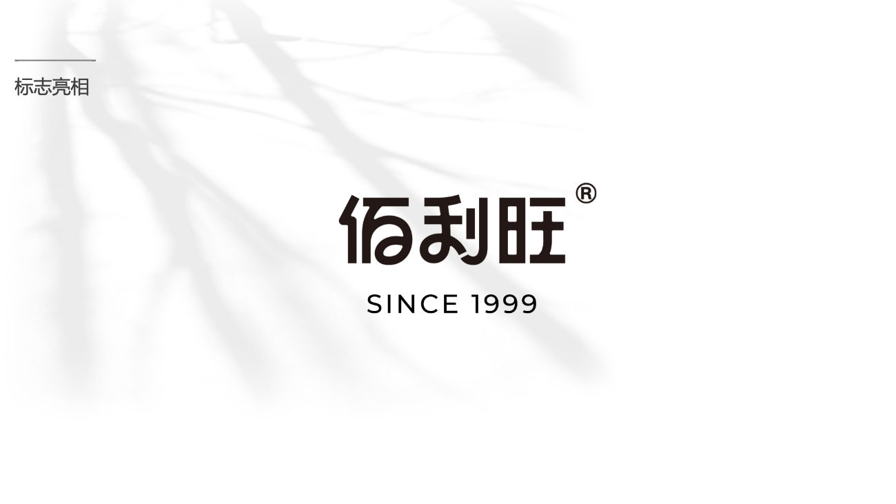 鹵味食品包裝設計-logo/vi設計-蘇州佰利旺 鹵味食品包裝設計-logo/vi設計-蘇州佰利旺